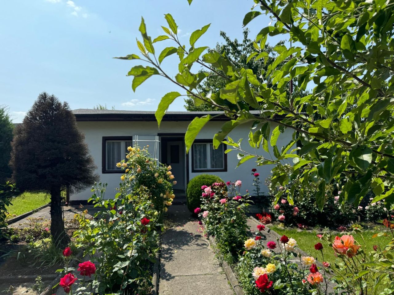 Działka rod Gliwice Trynek, Gliwice Trynek. Zdjęcie 1