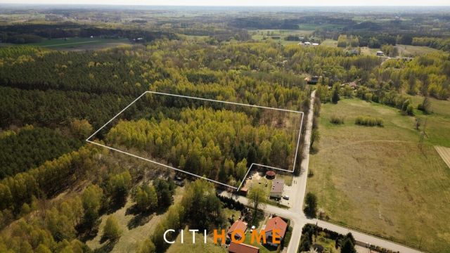 Działka leśna Poschła. Zdjęcie 4