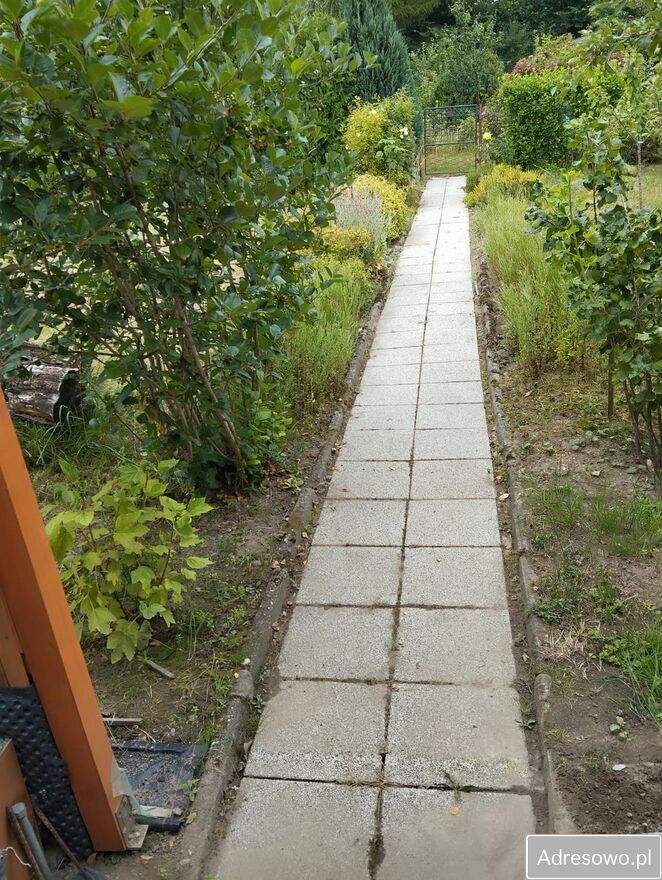 Działka rod Bytom Stolarzowice, ul. Paczyńska. Zdjęcie 5