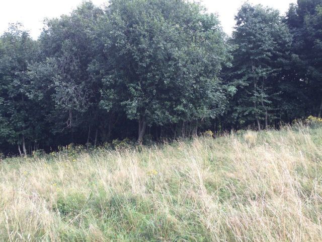 Działka budowlana Gniewoszów. Zdjęcie 1