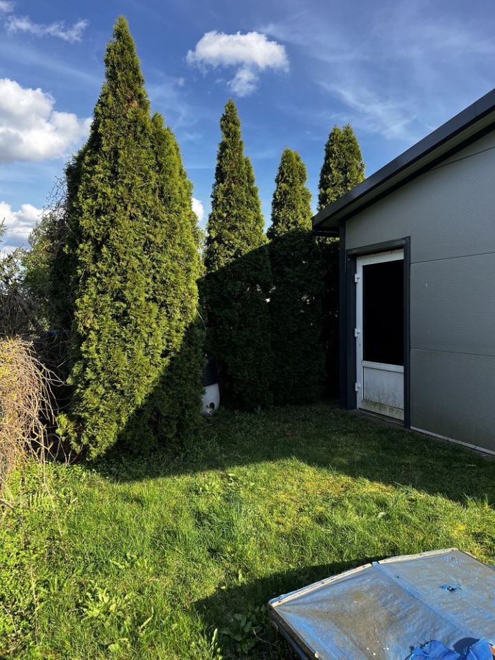 Działka rod Ostrzeszów. Zdjęcie 7