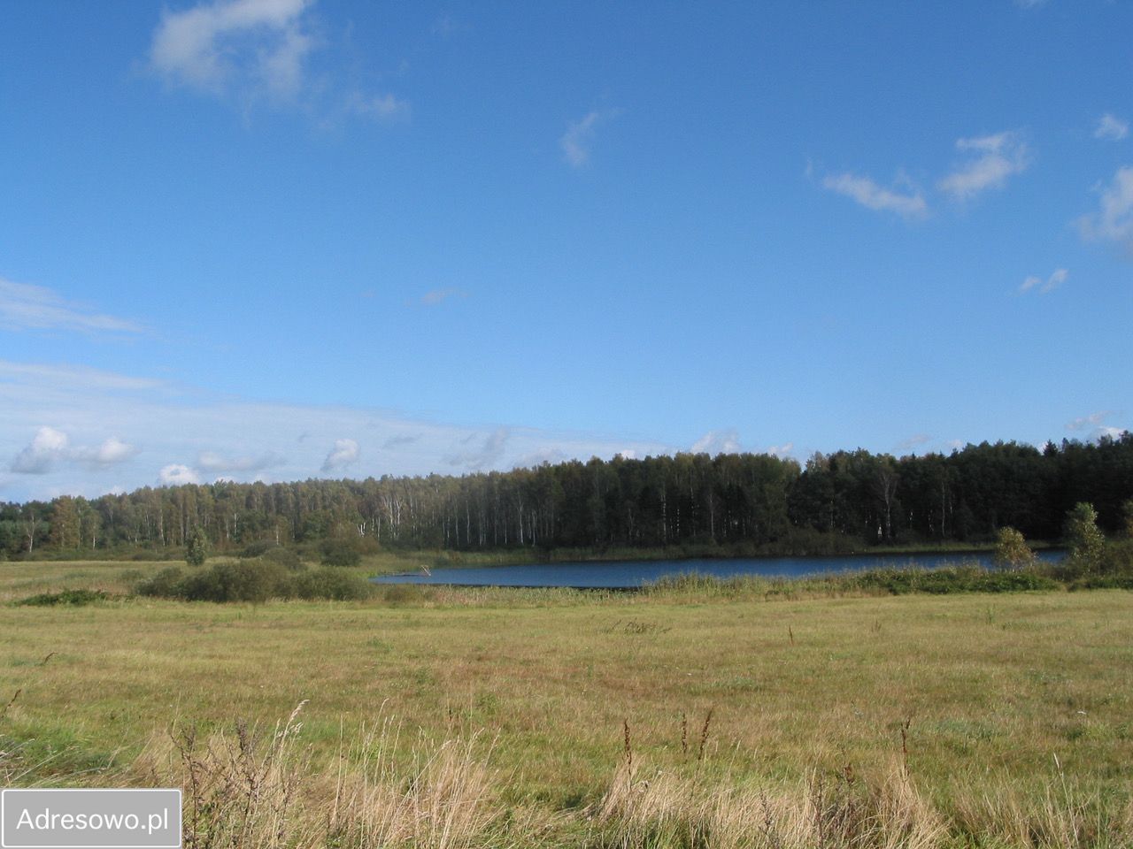 Działka rolna Chomino. Zdjęcie 7