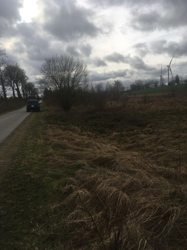 Działka rolna Sulechówko. Zdjęcie 3