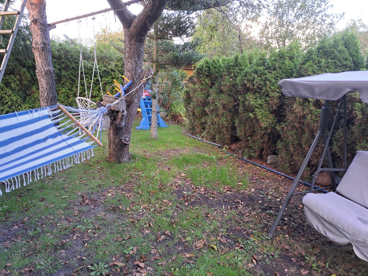 Działka rod Toruń Wrzosy, ul. Słowicza. Zdjęcie 18