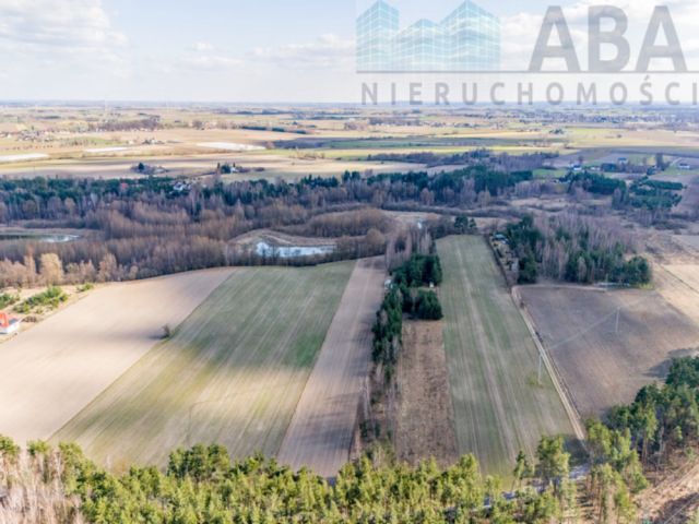 Działka rekreacyjna Świętne. Zdjęcie 3