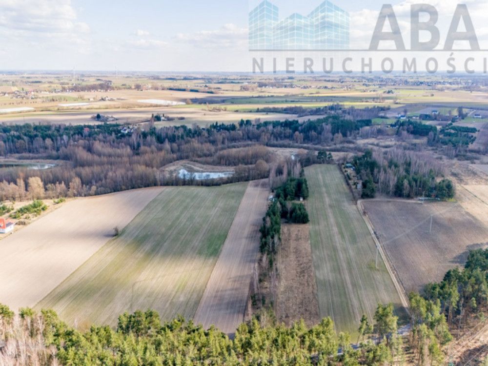 Działka rekreacyjna Świętne. Zdjęcie 3