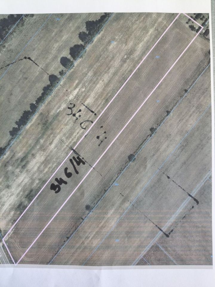 Działka rolna Platerów. Zdjęcie 3