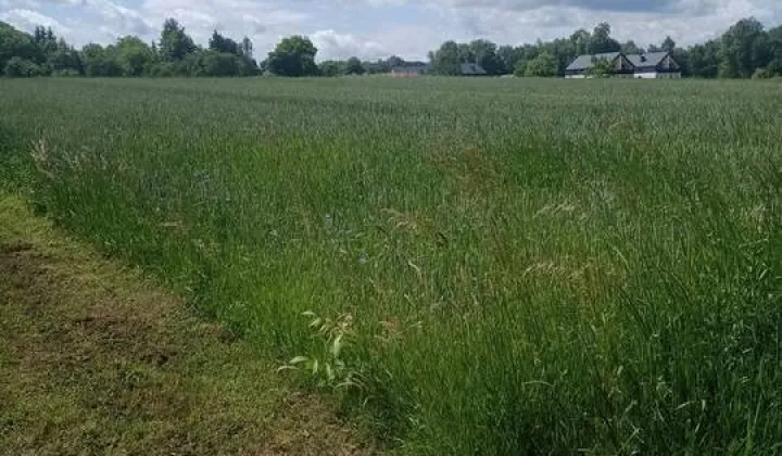 Działka budowlana Trzciana