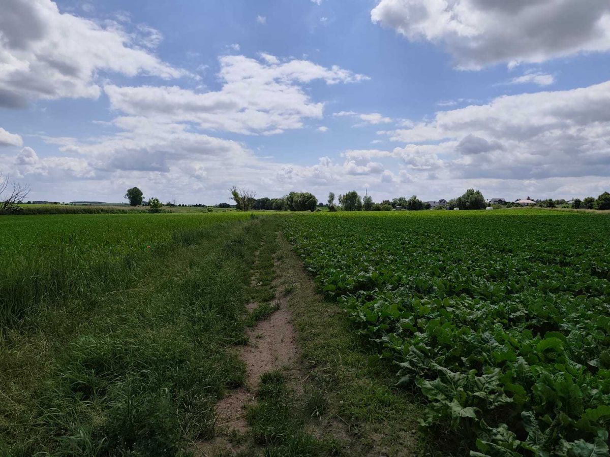 Działka inwestycyjna Buk, ul. Przemysłowa. Zdjęcie 3