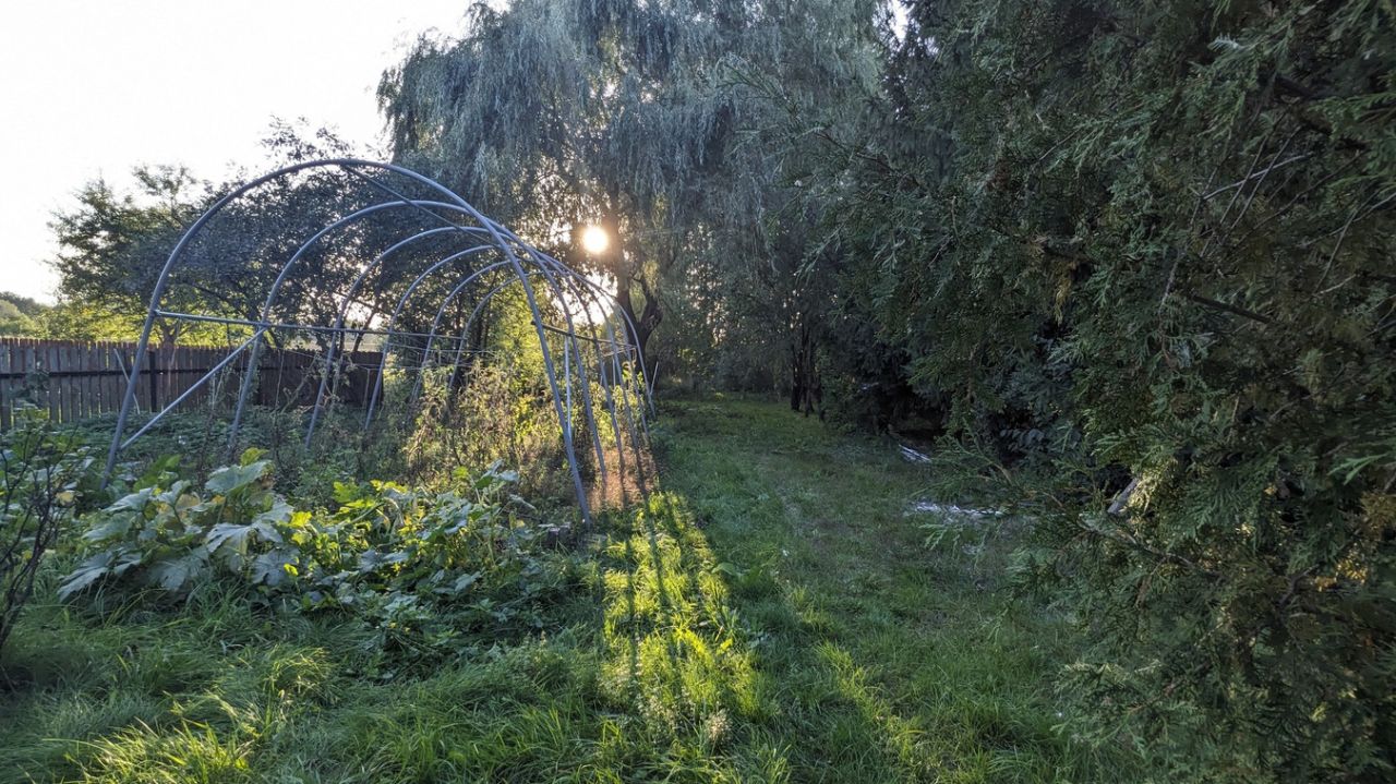 Działka siedliskowa Stary Lubiel. Zdjęcie 9