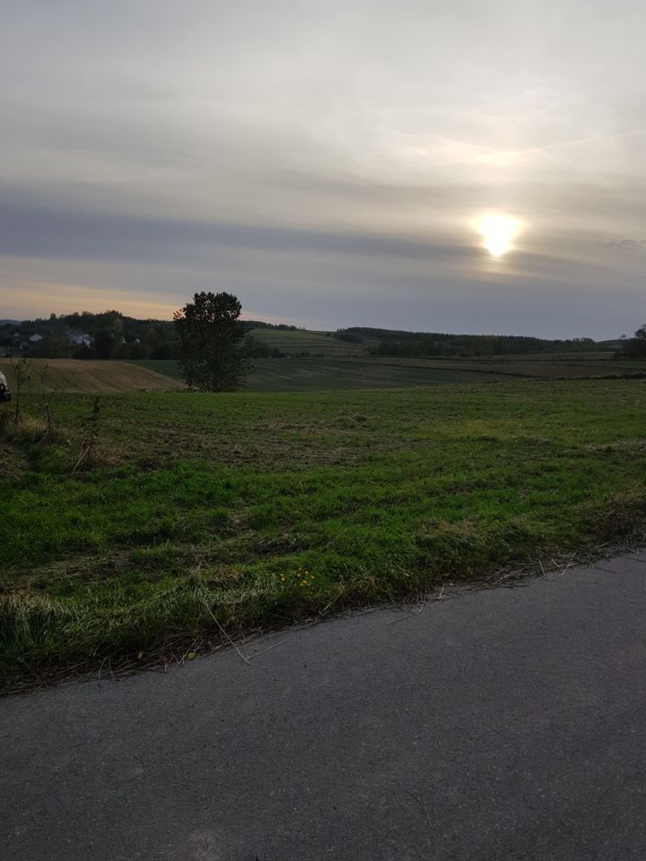 Działka rolno-budowlana Dobrogoszczyce, brak. Zdjęcie 4