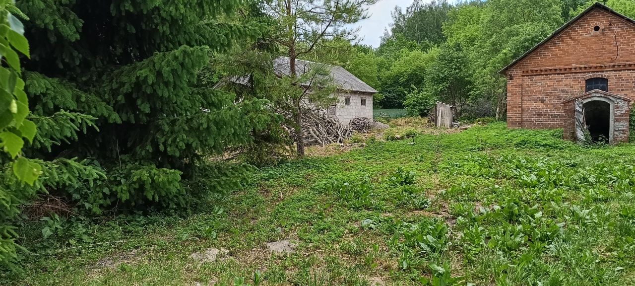 Działka siedliskowa Skomorochy Duże. Zdjęcie 4