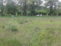 Działka budowlana Zaskoczyn osada. Zdjęcie 1