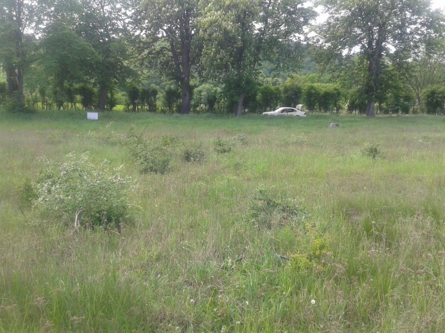 Działka budowlana Zaskoczyn osada. Zdjęcie 2