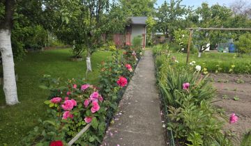 Działka rod Kołobrzeg, ul. Bolesława Krzywoustego