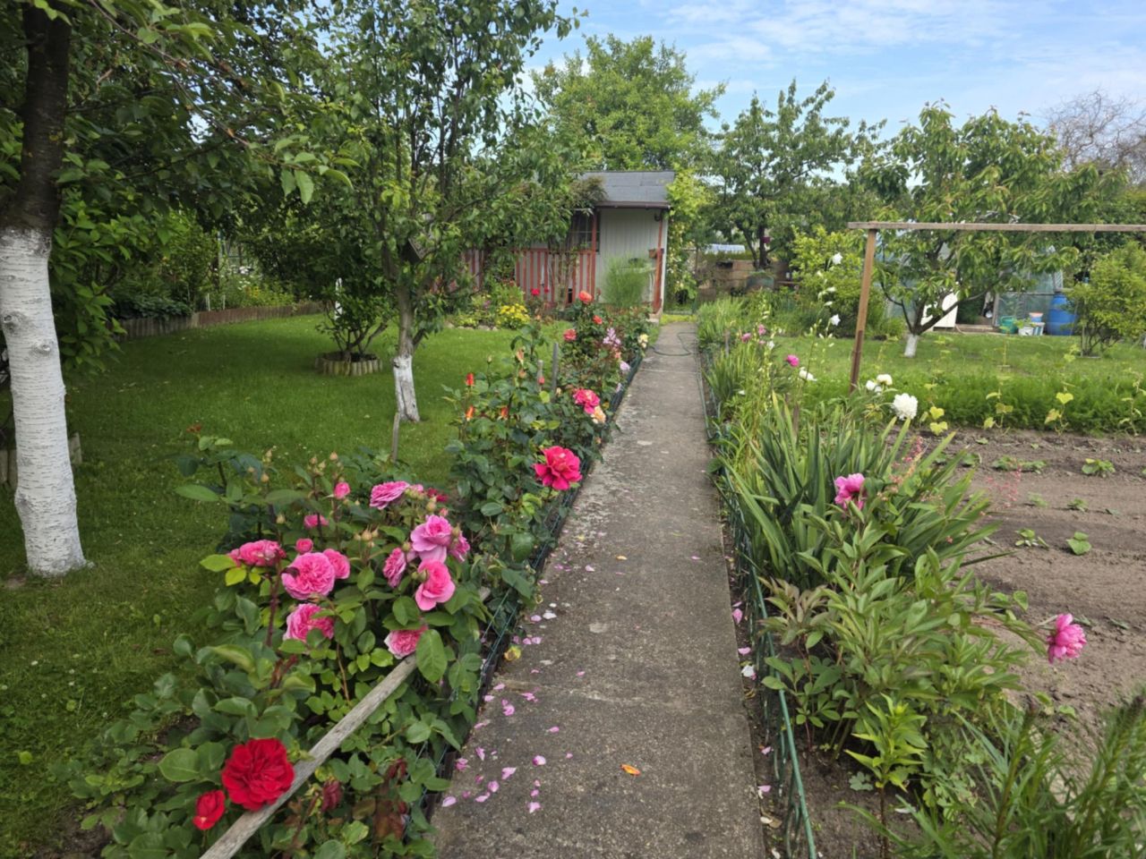 Działka rod Kołobrzeg, ul. Bolesława Krzywoustego