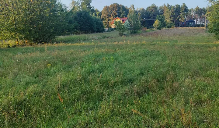 Działka budowlana Borowa Góra, ul. Lipowa