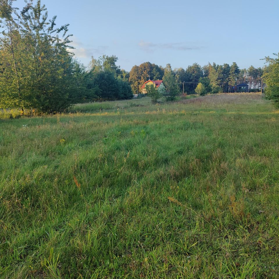 Zeme, 1262 m²