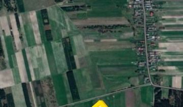 Działka leśna Wałkonowy Dolne
