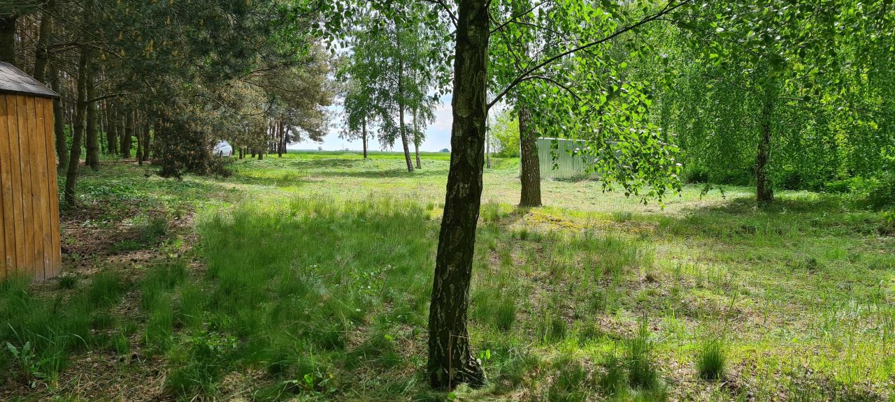Działka budowlana Zborów. Zdjęcie 7