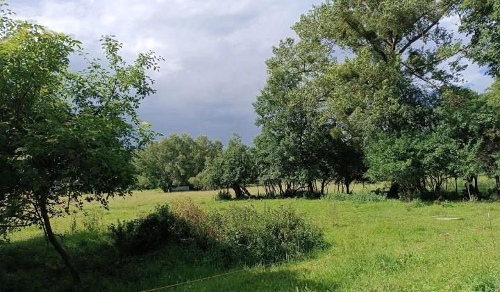 Działka budowlana Wieleń Pomorski