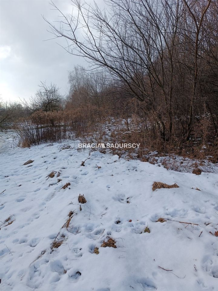 Działka inwestycyjna Czarnochowice. Zdjęcie 4