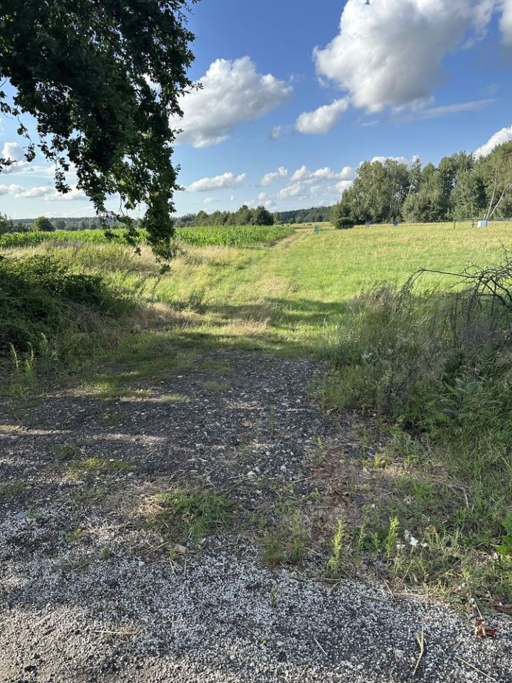 Działka budowlana Świniary Borowna. Zdjęcie 6