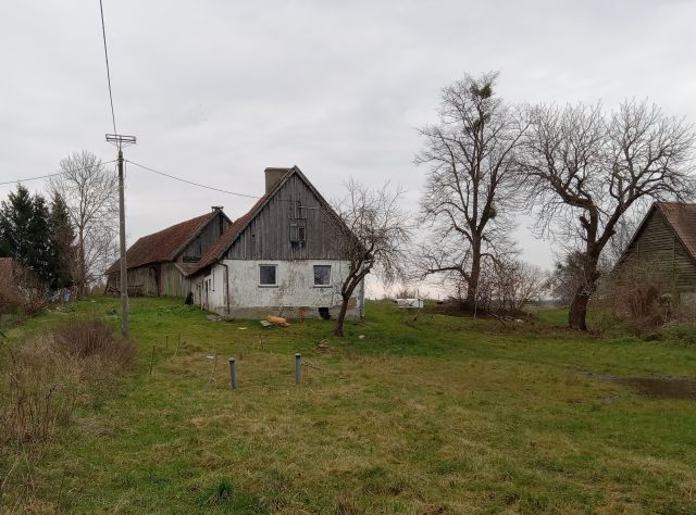 Działka rolna Jarzeń. Zdjęcie 3