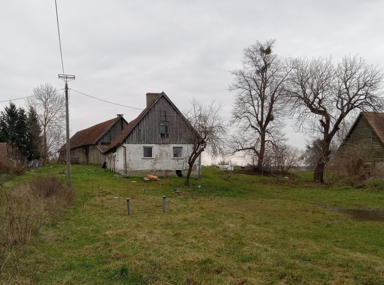 Działka rolna Jarzeń. Zdjęcie 3