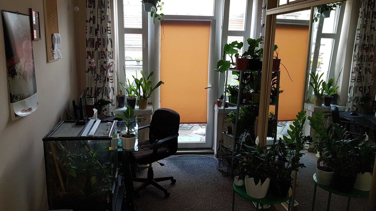 Mieszkanie 3-pokojowe Wrocław Stare Miasto, ul. Kazimierza Jagiellończyka. Zdjęcie 2