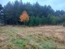 Działka rolna Mstów. Zdjęcie 4