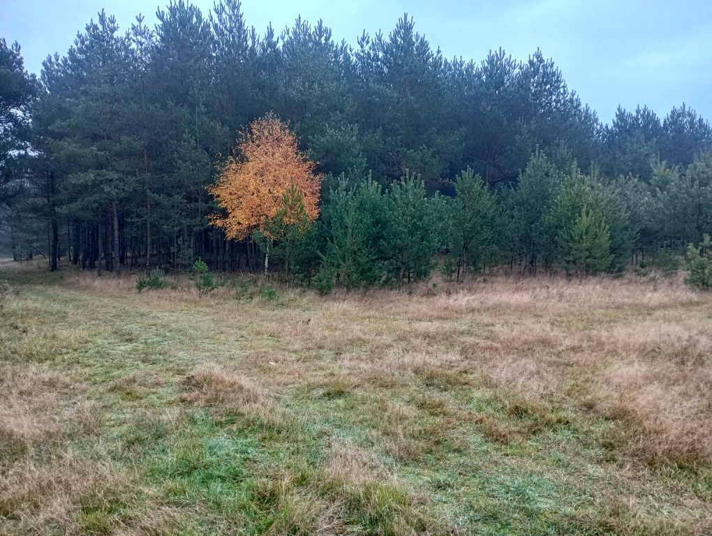 Działka rolna Mstów. Zdjęcie 5