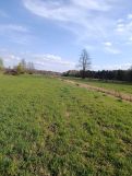 Działka rolna Kożuszki. Zdjęcie 4