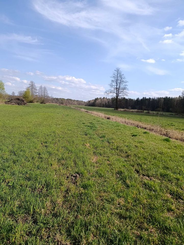 Działka rolna Kożuszki. Zdjęcie 5