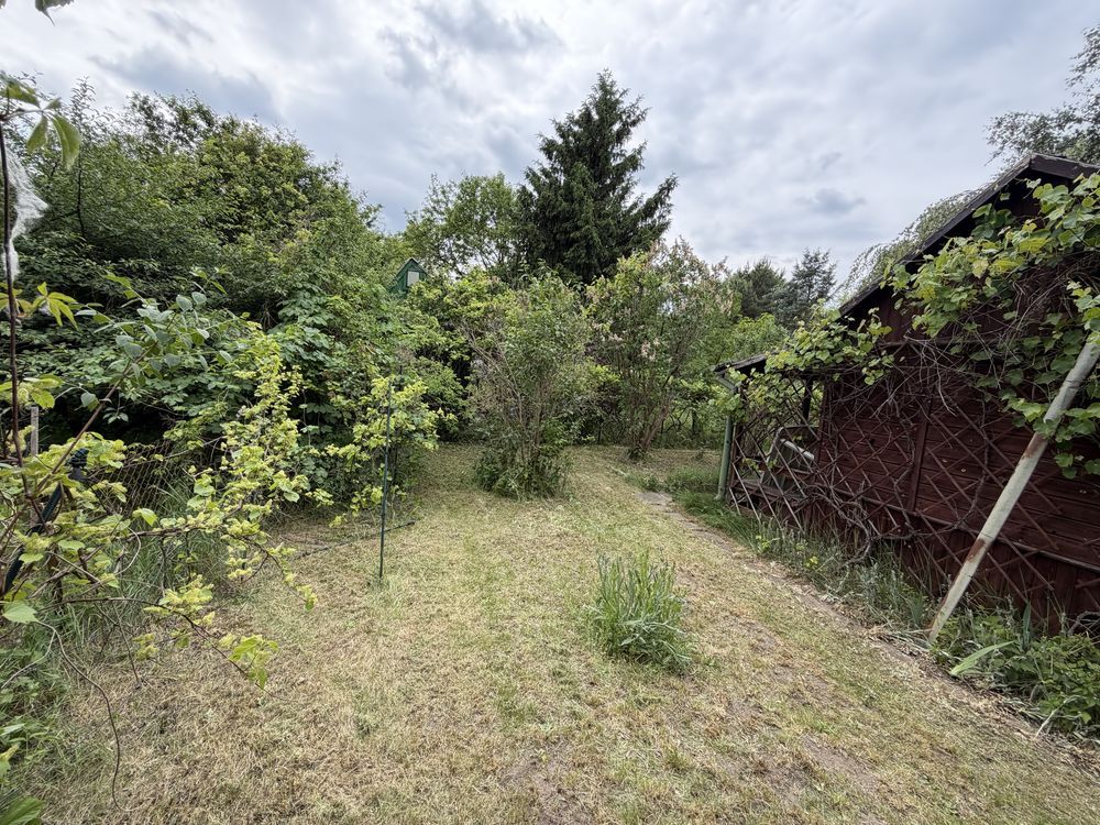 Działka rod Warszawa Wilanów, ul. Augustówka. Zdjęcie 6