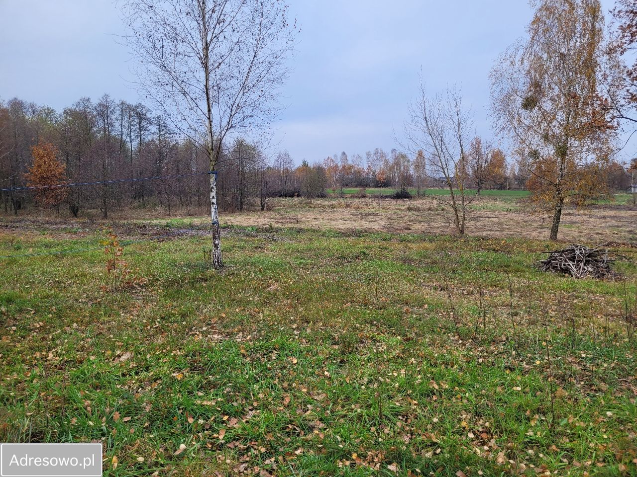 Działka budowlana Kazuń-Bielany, ul. Kampinoska. Zdjęcie 2