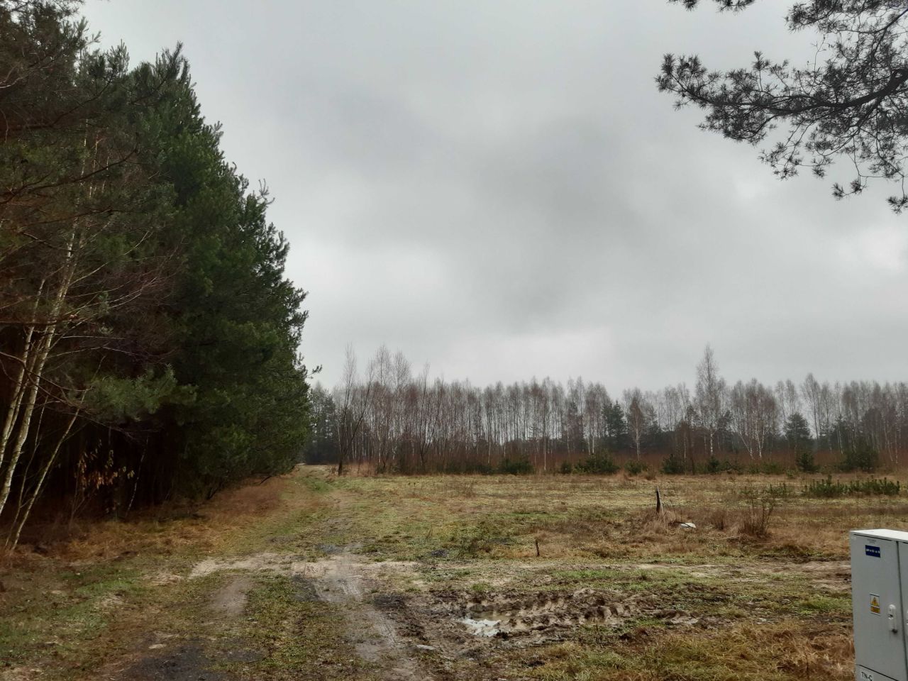 Działka rolno-budowlana Łukawska Wola. Zdjęcie 6