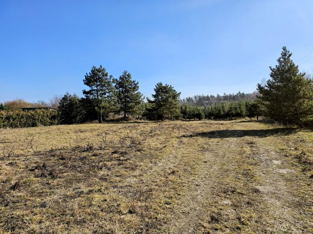 Działka budowlana Osuchów, ul. Leśna. Zdjęcie 7