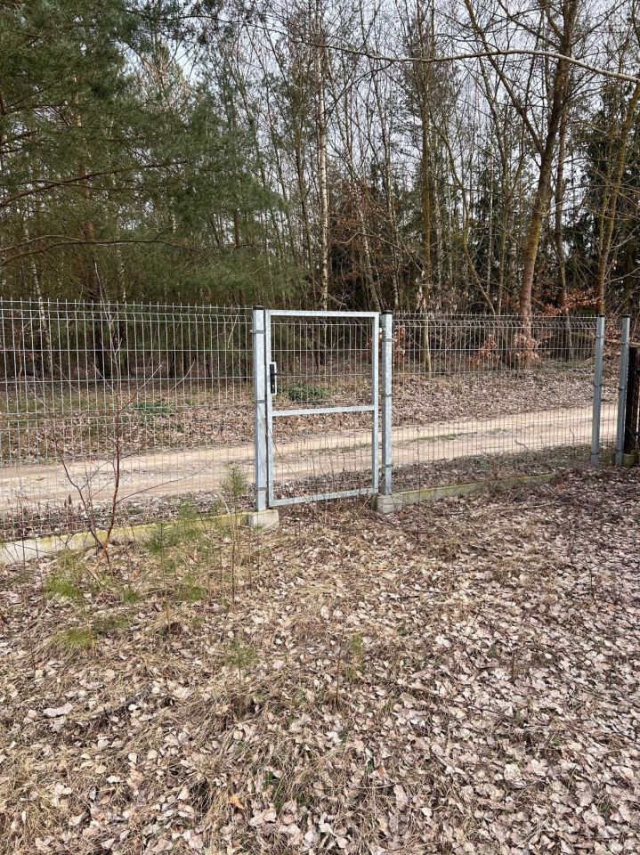 Działka budowlana Nowogród. Zdjęcie 2