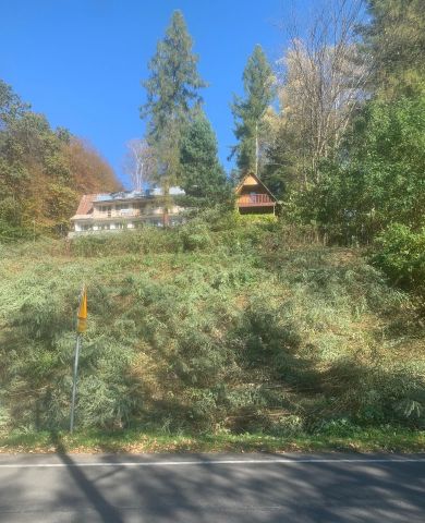 Działka inwestycyjna Myczkowce. Zdjęcie 1