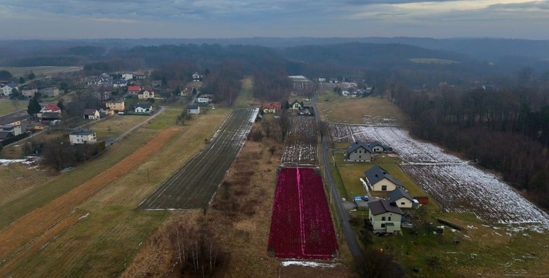 Działka budowlana Jastrzębie-Zdrój Moszczenica, ul. Tęczowa. Zdjęcie 1
