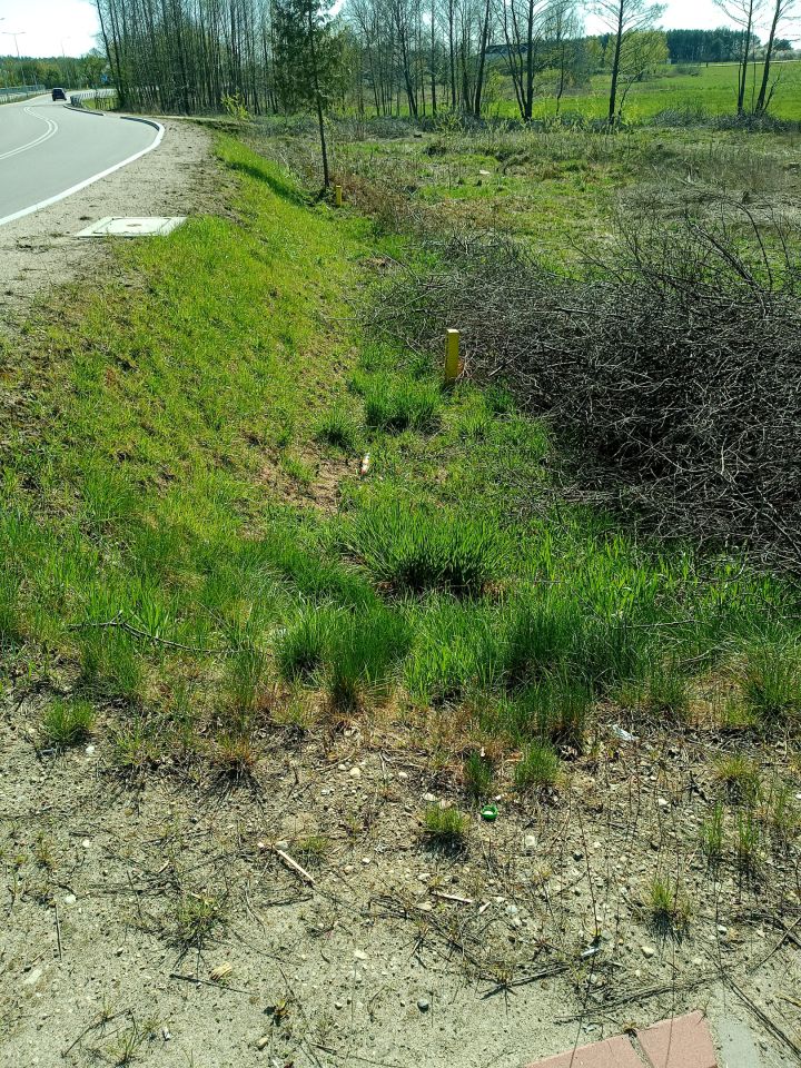 Działka budowlana Jedwabne. Zdjęcie 3