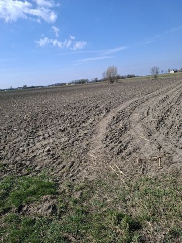 Działka rolna Gzy Kałęczyn. Zdjęcie 1