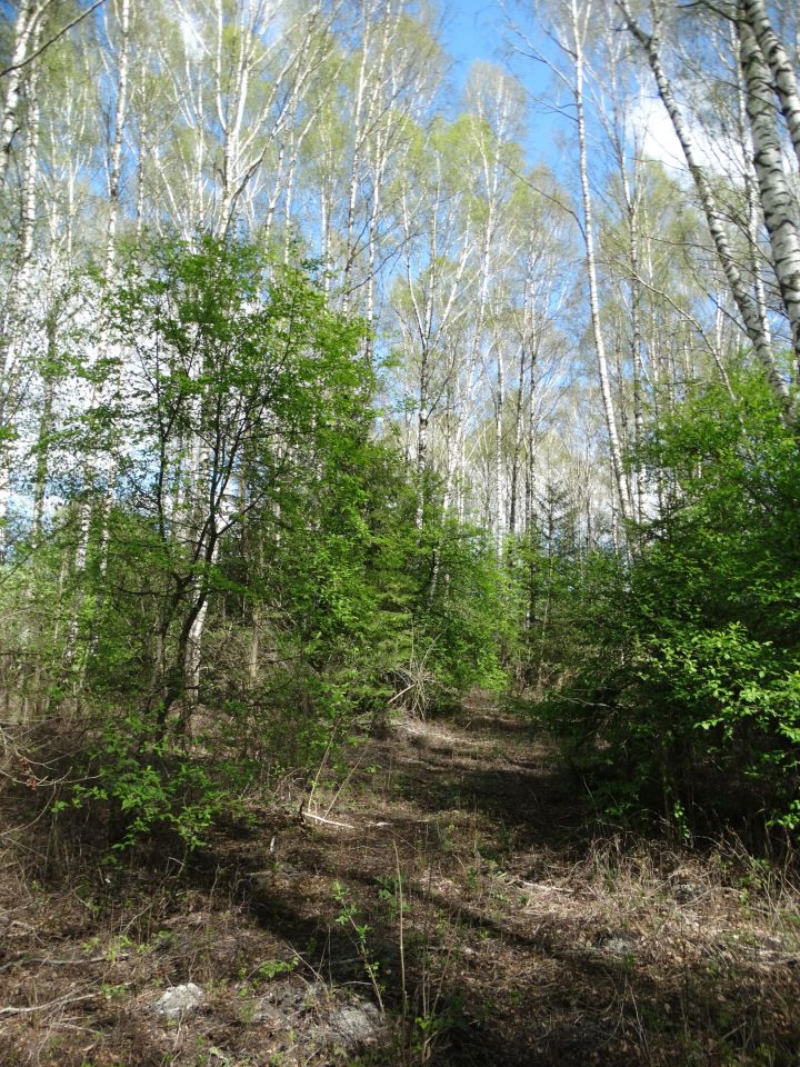 Działka rekreacyjna Pobondzie. Zdjęcie 5