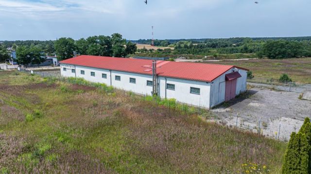 Lokal Brzeźnik. Zdjęcie 9