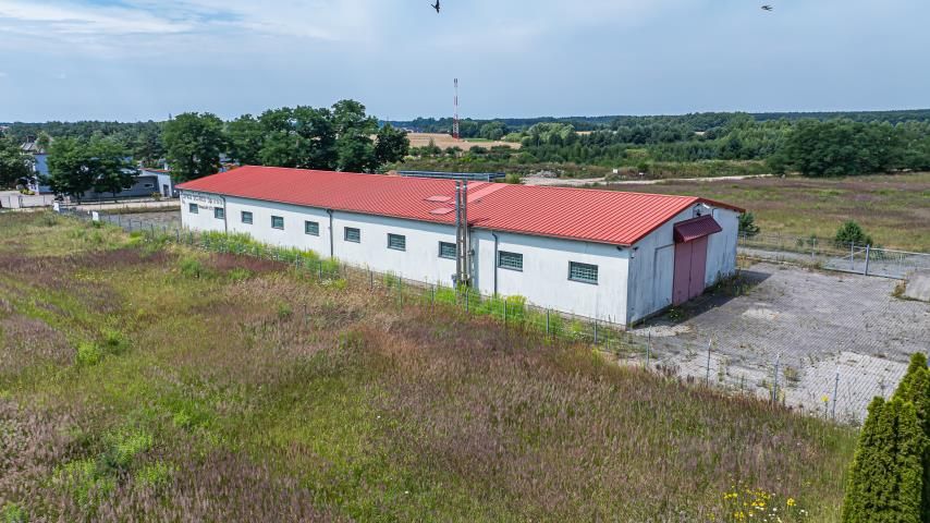 Lokal Brzeźnik. Zdjęcie 9