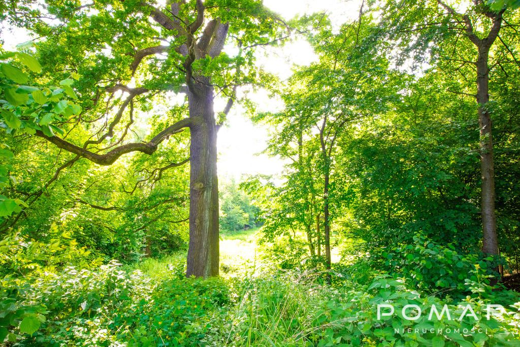 Działka budowlana Czerwionka-Leszczyny, ul. Powstańców. Zdjęcie 5
