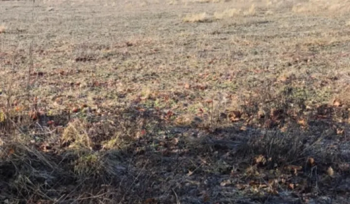 Działka budowlana Będźmierowice