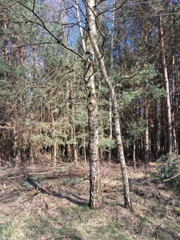 Działka rolna Jeżów. Zdjęcie 1