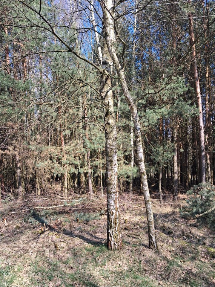 Działka rolna Jeżów